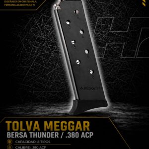 TL/bersa thunder 380/8R