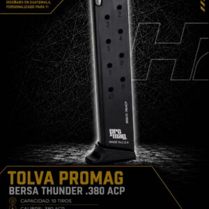 TL/bersa thunder 380/10R